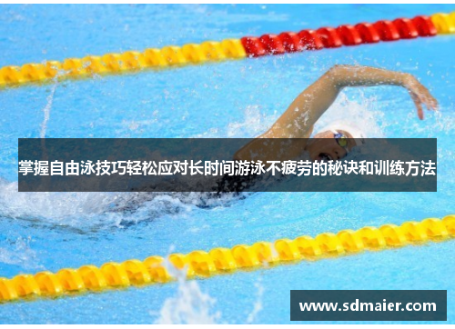 掌握自由泳技巧轻松应对长时间游泳不疲劳的秘诀和训练方法